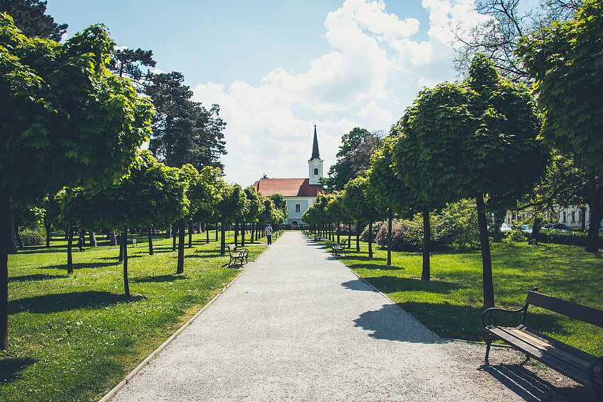 Sunny Park Path Leading to Church with Green Trees