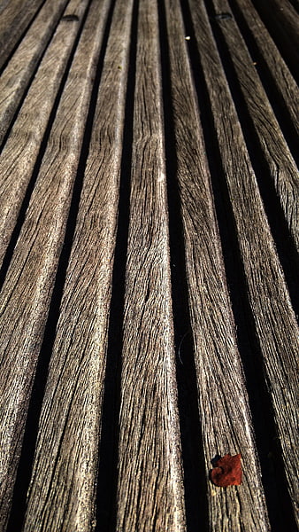 Close-up of weathered wooden deck planks with autumn leaf