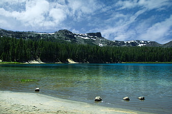 Serene Alpine Lake with Snow-Capped Mountains and Pine Forest