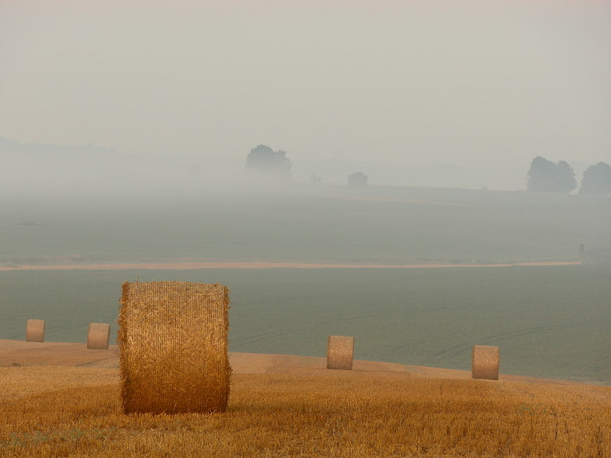 Foggy Autumn Landscape with Hay Bales in Harvested Field