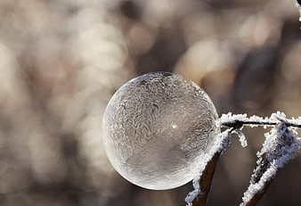 Frozen ice bubble on frosty branch in winter