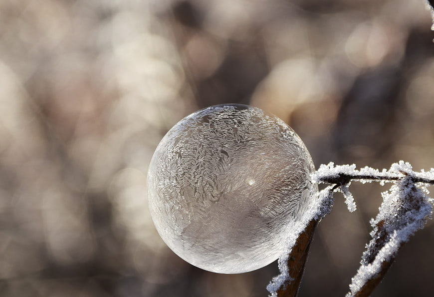 Frozen ice bubble on frosty branch in winter