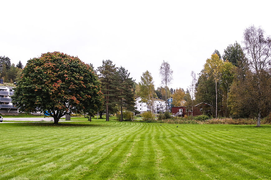 Wide Green Lawn with Striped Mowing Pattern and Autumn Trees