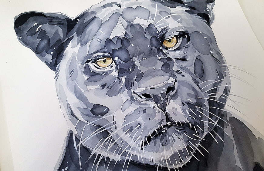 Watercolor Portrait of a Jaguar Head on White Paper