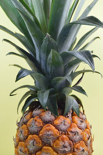 Close-up of Fresh Pineapple on Yellow Background