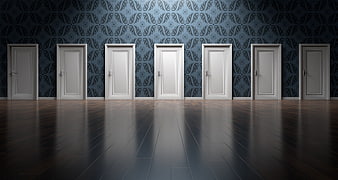 Row of white doors in dark patterned room with wooden floor