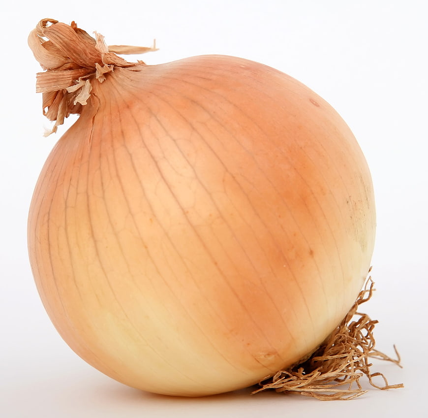 Whole Yellow Onion Isolated on White Background