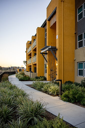 Modern Yellow Apartment Building with Landscaped Walkway at Sunset