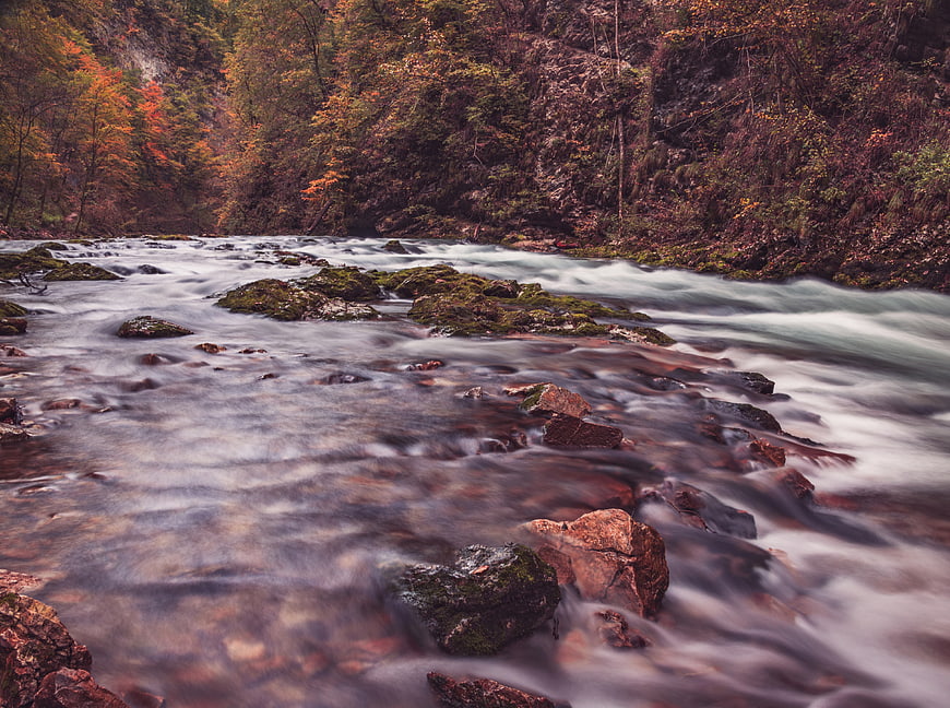 Long Exposure River Flowing Through Autumn Forest