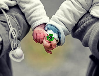 Baby Hands Holding Four Leaf Clover
