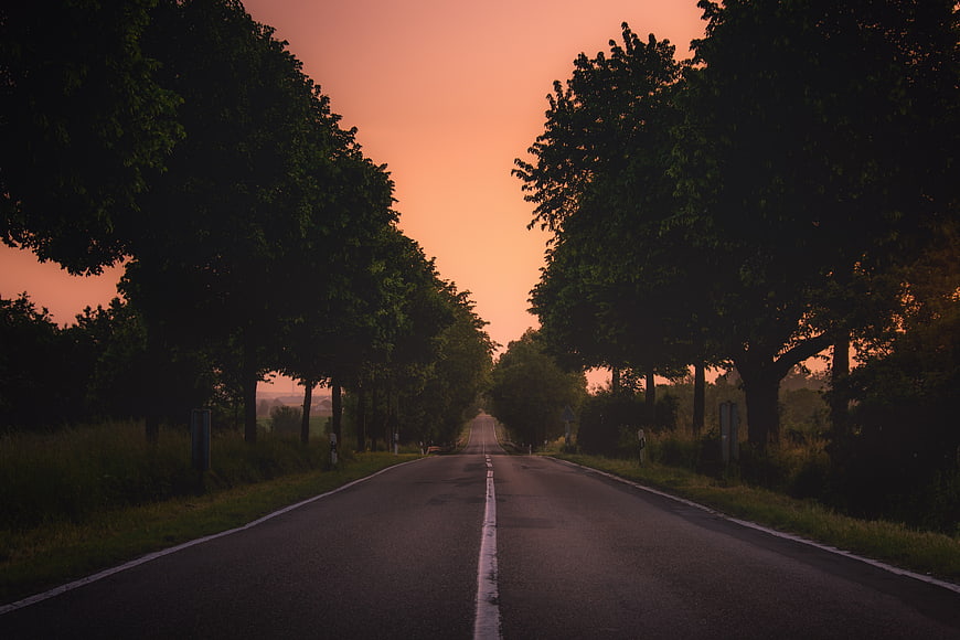 Empty country road at sunset with tree-lined avenue