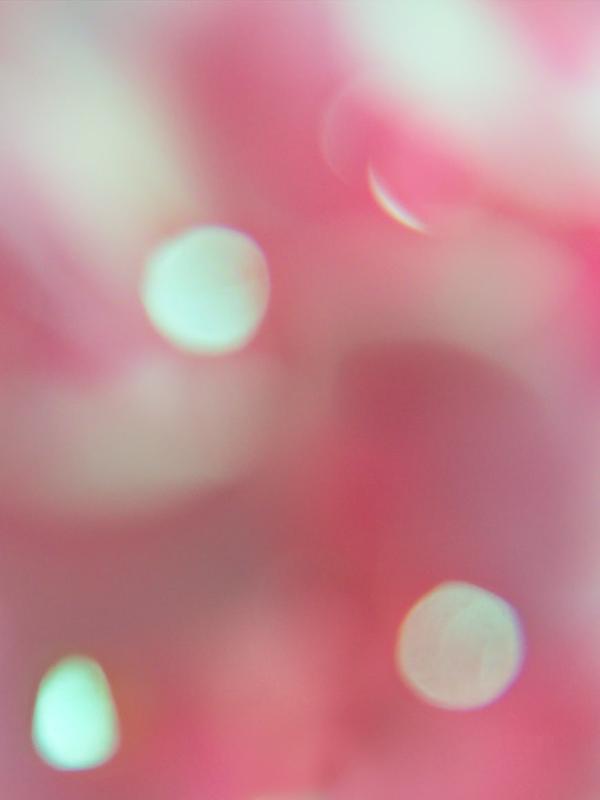 Abstract Pink Bokeh Background with Soft Glowing Lights