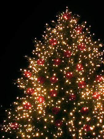 Christmas tree with red ornaments and warm lights at night