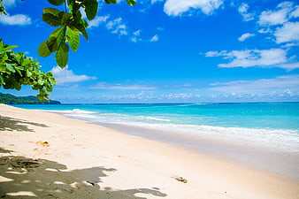 Tropical Beach with Turquoise Water and Blue Sky