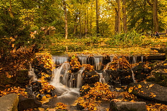 Serene Autumn Stream with Golden Leaves and Waterfall