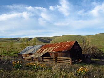 Rustic wooden barn with rusty roof in green rolling hills