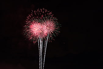 Red and green fireworks exploding in the night sky