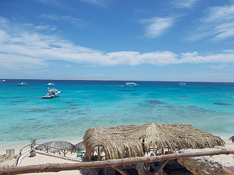 Tropical Beach Resort with Thatched Huts and Turquoise Ocean