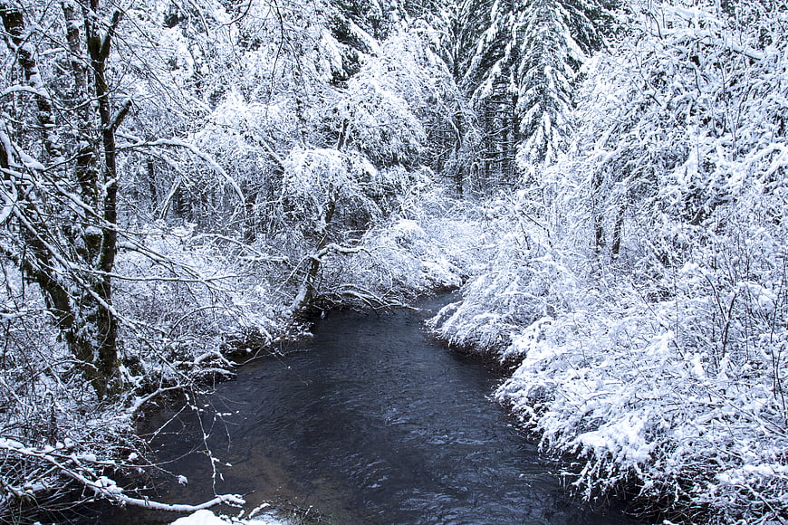 Snow-covered forest with a flowing winter stream