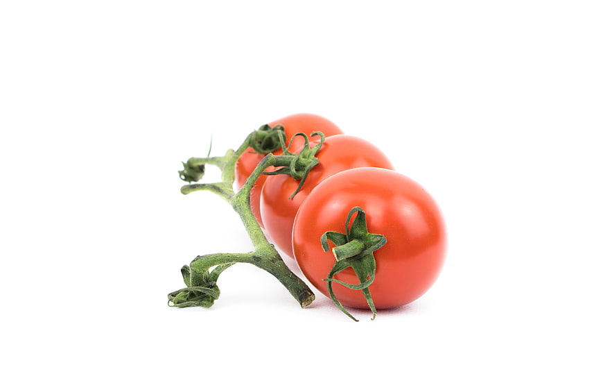 Fresh Red Tomatoes on the Vine Isolated on White