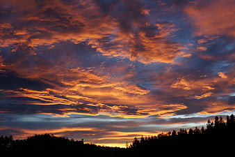 Dramatic Orange and Blue Sunset Sky with Silhouetted Trees