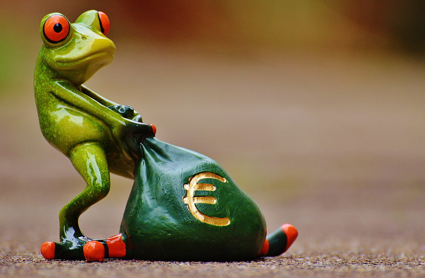 Green frog figurine carrying a money bag with euro symbol