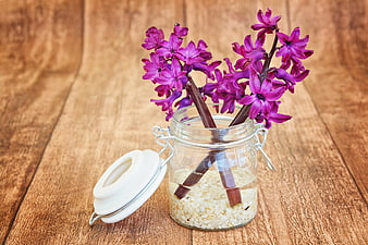 Purple hyacinth flowers in glass jar on wooden background