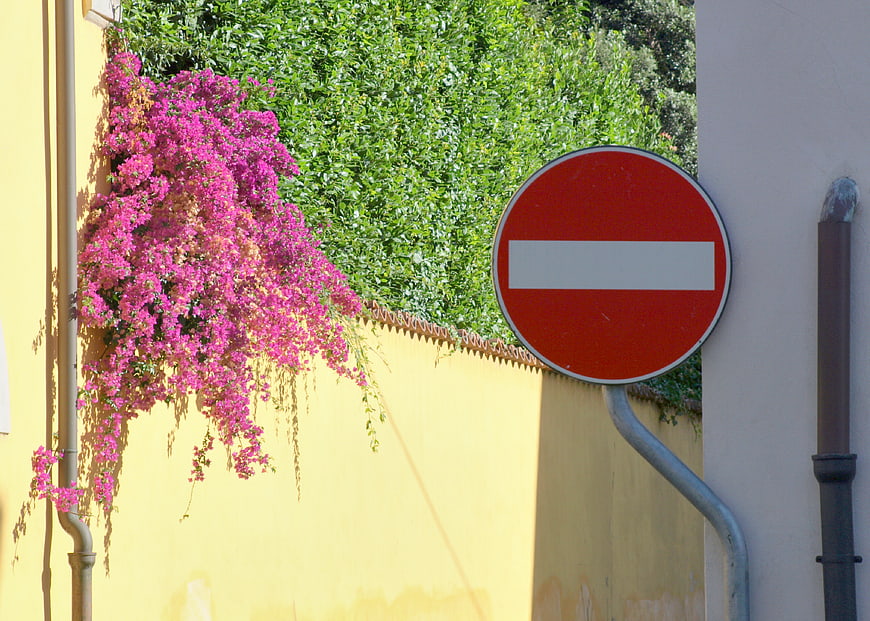 No Entry Sign Against Yellow Wall with Pink Bougainvillea