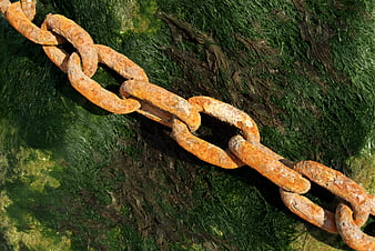 Rusty Iron Chain Links On Mossy Green Surface