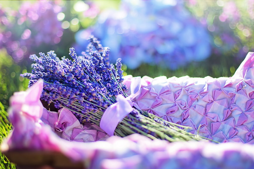 Fresh Lavender Bouquet on Pink Origami Background
