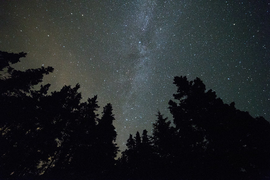Milky Way Galaxy Over Silhouetted Pine Trees at Night