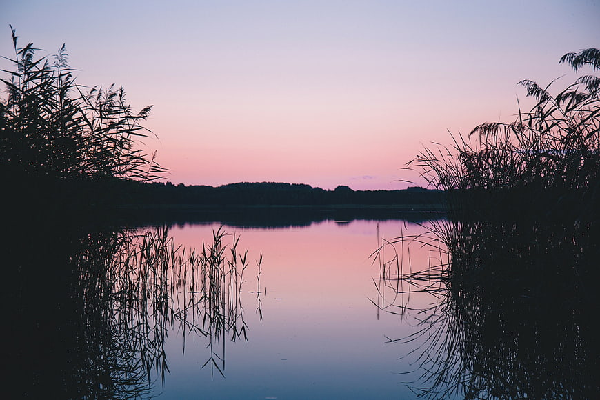 Serene Lake Sunset with Reeds and Pink Sky Reflection