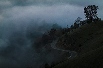 Winding Mountain Road Through Dark Foggy Forest Landscape