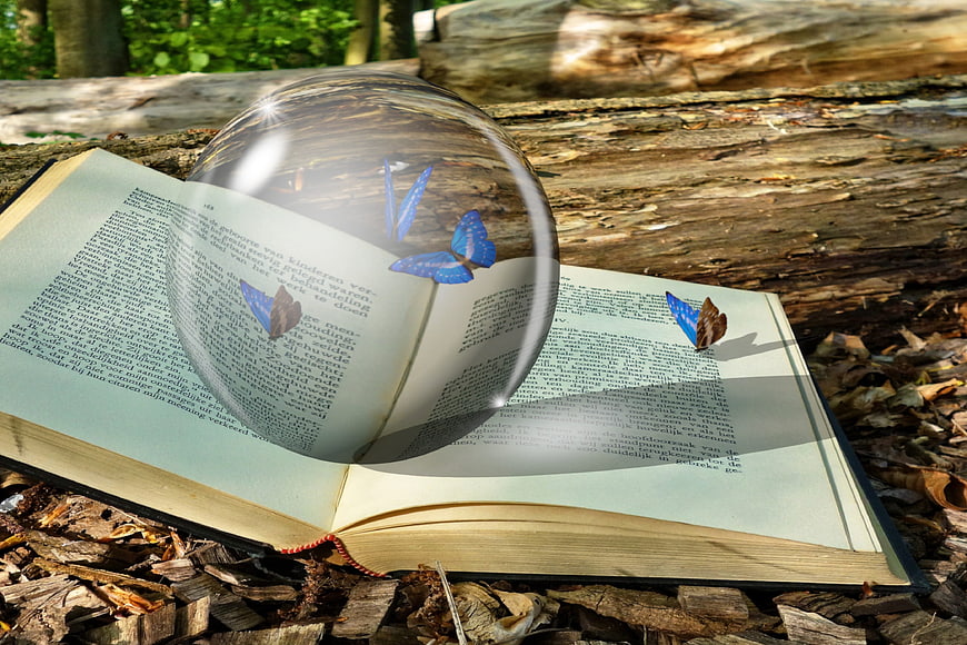 Crystal Ball With Blue Butterflies On Open Book In Forest