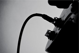 Black and white close-up of audio cable plugged into equipment