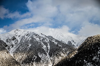 Snow-Covered Mountain Peaks with Pine Forest and Blue Sky