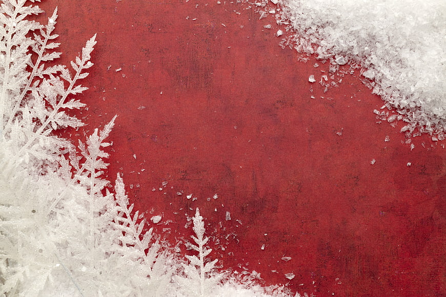 Frosted Ferns and Snow on Red Background