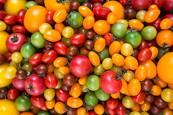 Colorful variety of fresh heirloom cherry tomatoes