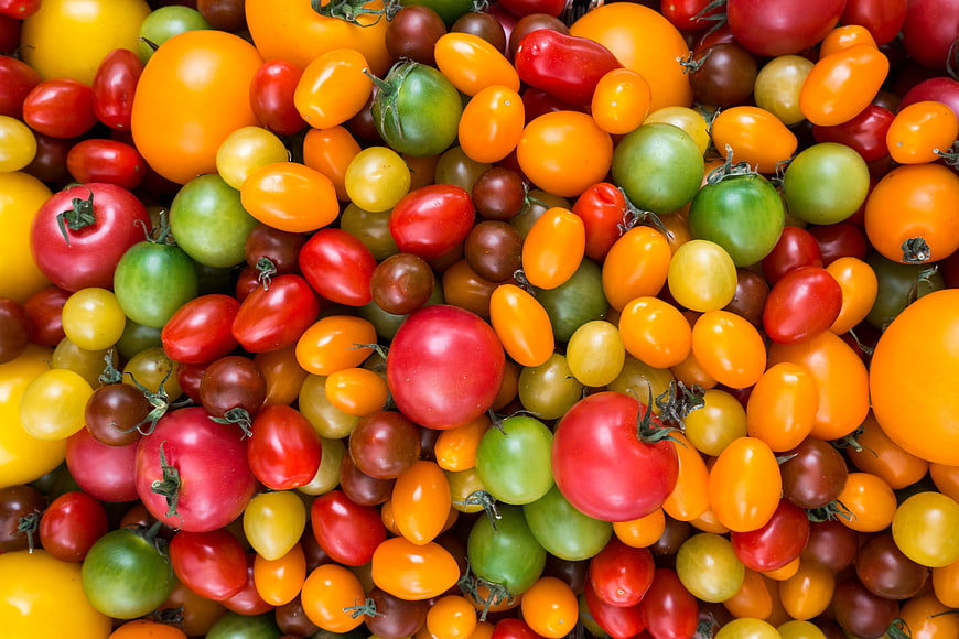 Colorful variety of fresh heirloom cherry tomatoes