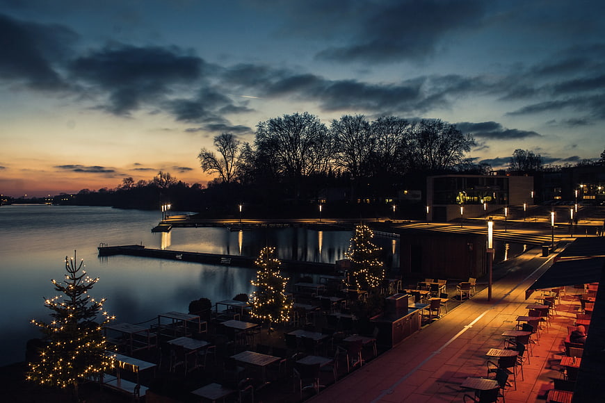 Christmas Trees by Lake at Dusk
