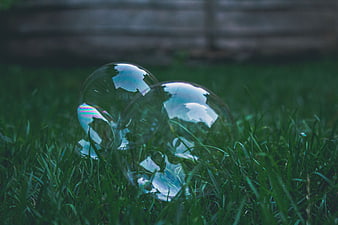 Soap bubbles resting on green grass lawn