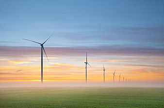 Wind turbines in misty field at sunrise