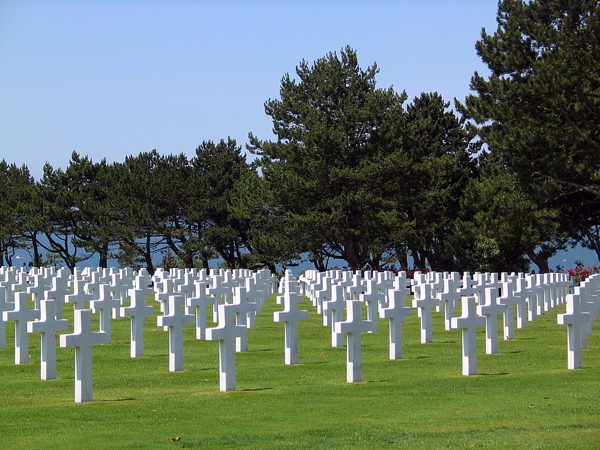 Rows of white crosses in a military cemetery