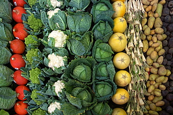 Top View of Fresh Organic Vegetables Arranged in Rows