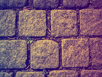 Top View of Weathered Stone Pavers with Moss and Weeds