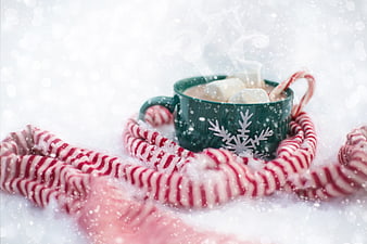 Festive Hot Chocolate with Marshmallows and Candy Cane Scarf