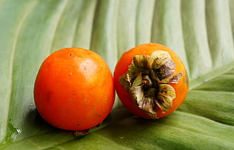 Fresh orange persimmons on a large green leaf