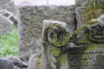 Moss-covered ornate tombstone in old cemetery