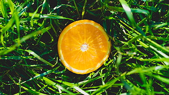 Fresh Sliced Orange on Green Grass Background