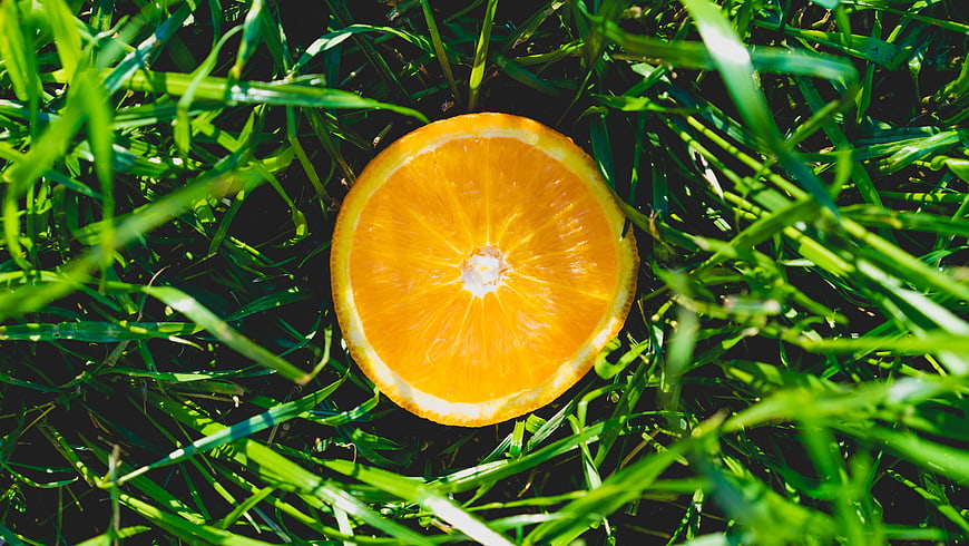 Fresh Sliced Orange on Green Grass Background